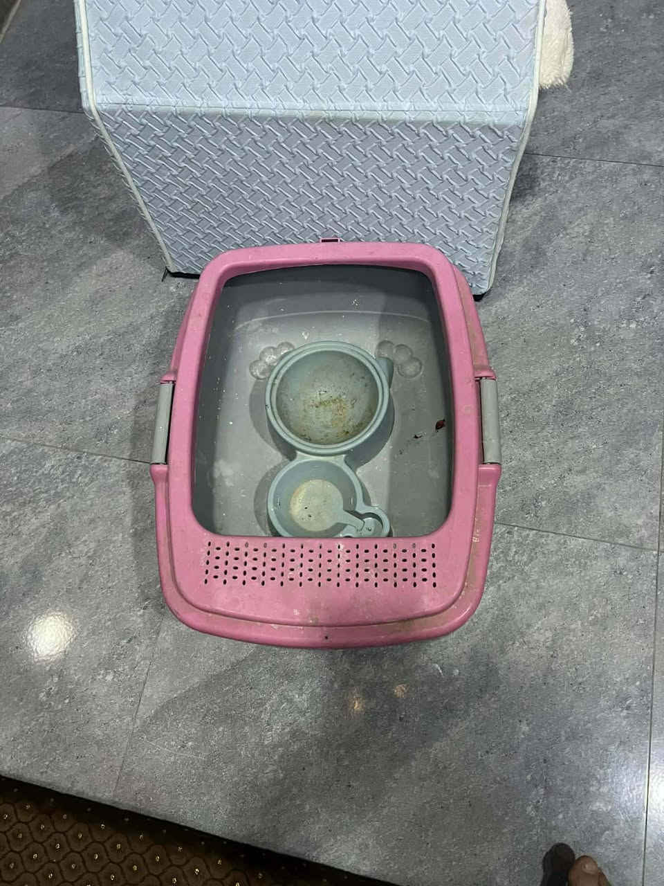 للبيع بيت قطة موصل ايسر الشري يدفع سعر


**إذا كنت صاحب هذا الإعلان وتريد حذفه لأي سبب، رجاءا أرسل رسالة إلى الدعم الفني**