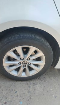 اريد مراوس بويل عادي ١٦ 07768364008