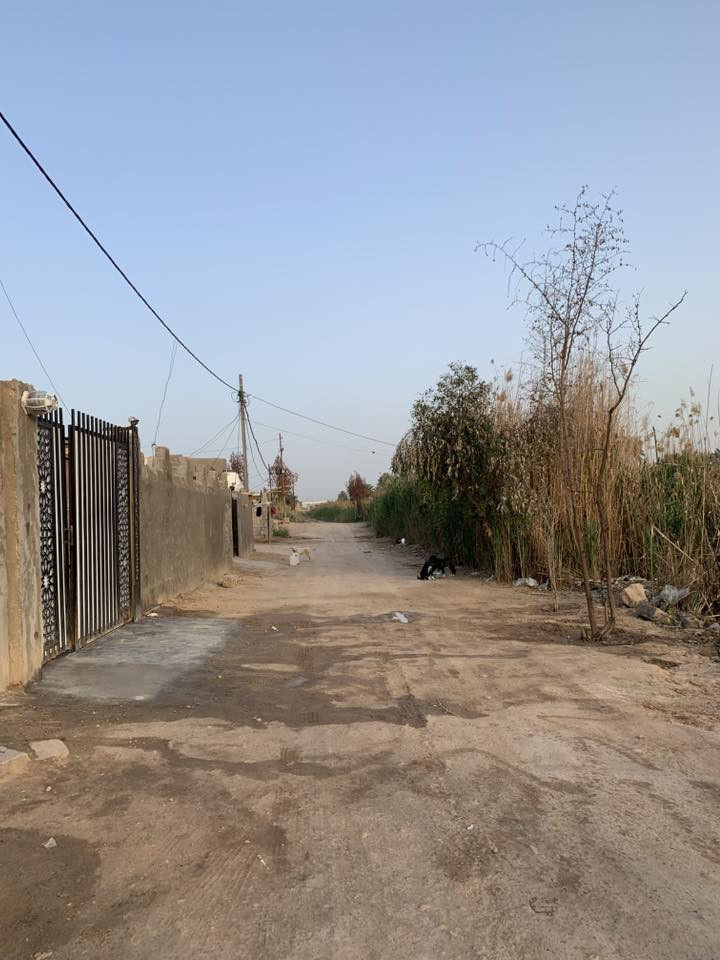 بيت للبيع طويريج شط الله خدمي البو صحو منطقة حجي نوري ، المساحة 350 م يحتوي على 3 غرف وصالة ومضيف واستقبال ومطبخ ، سند 25 التبليط يبعد 100 متر ، للاستفسار واتساب ***********
