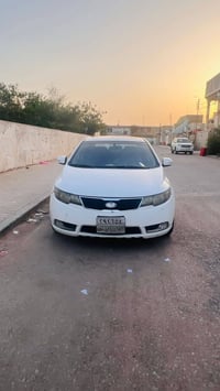 سيراتو • ٢٠١٣ • رقم أربيل