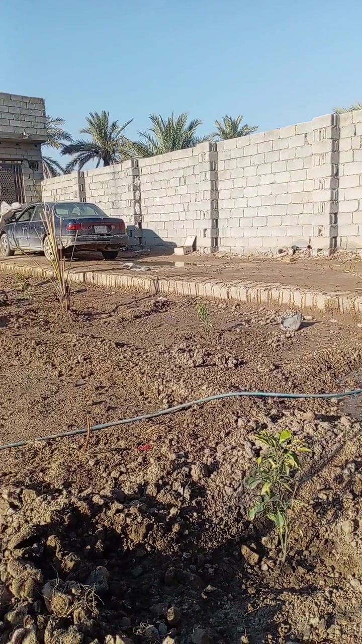 نص دونم بي مشتملات ٢كاملات من الداخل مكانه كربلاء خلف جامعه كربلاء شارع سيدسماعيل بتجاه الحولي ابومهدي خدمات كامله مي مجاري كهرباء مولد ذهبي مدارس ومستوصف عن التبليط ١٥متر بصف الركن منطقة كامله قريب على طريق الزوار مسافه ١٠٠٠متر عن باب طوريج ٣كيلو اقرب نقطه داله مدارس الأيتام للاستفسار اتصل *********** مراوس بيت وفرق يرهم
