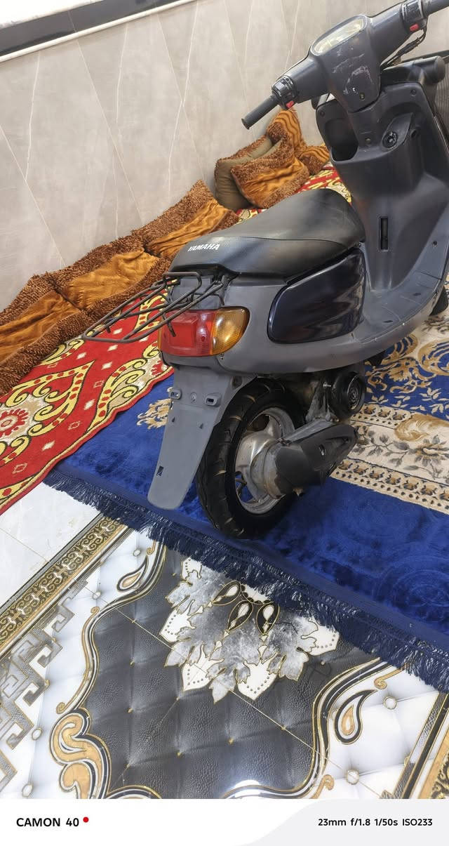 سلام عليكم دراجه البيع منغولي مكان كربلاء السعر 350 وبيه مجال رقم الهاتف ***********
