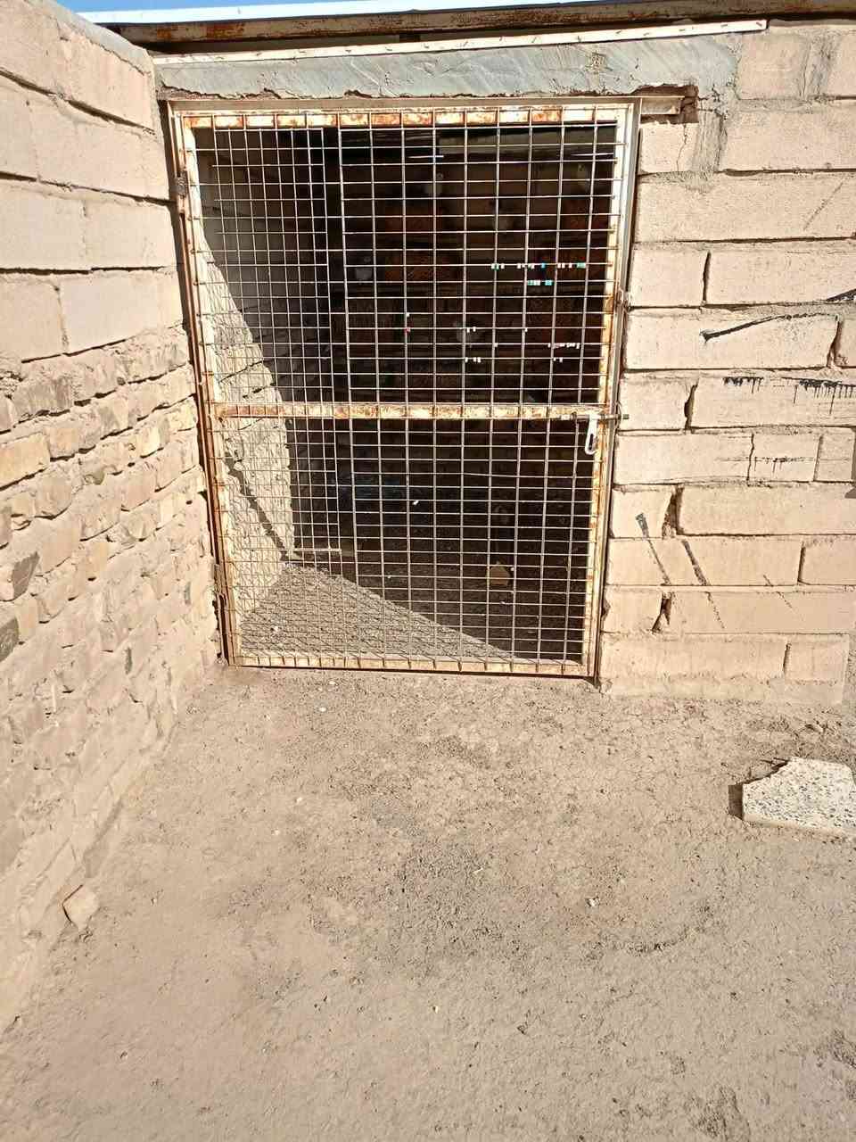 متاح  قمريات وقفاص قيم واخذ  حي المعلمين جديد 
***********
