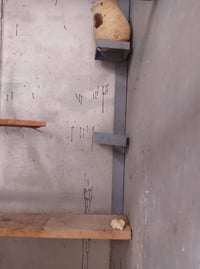 محمية • الكوفه • جسر الامام علي