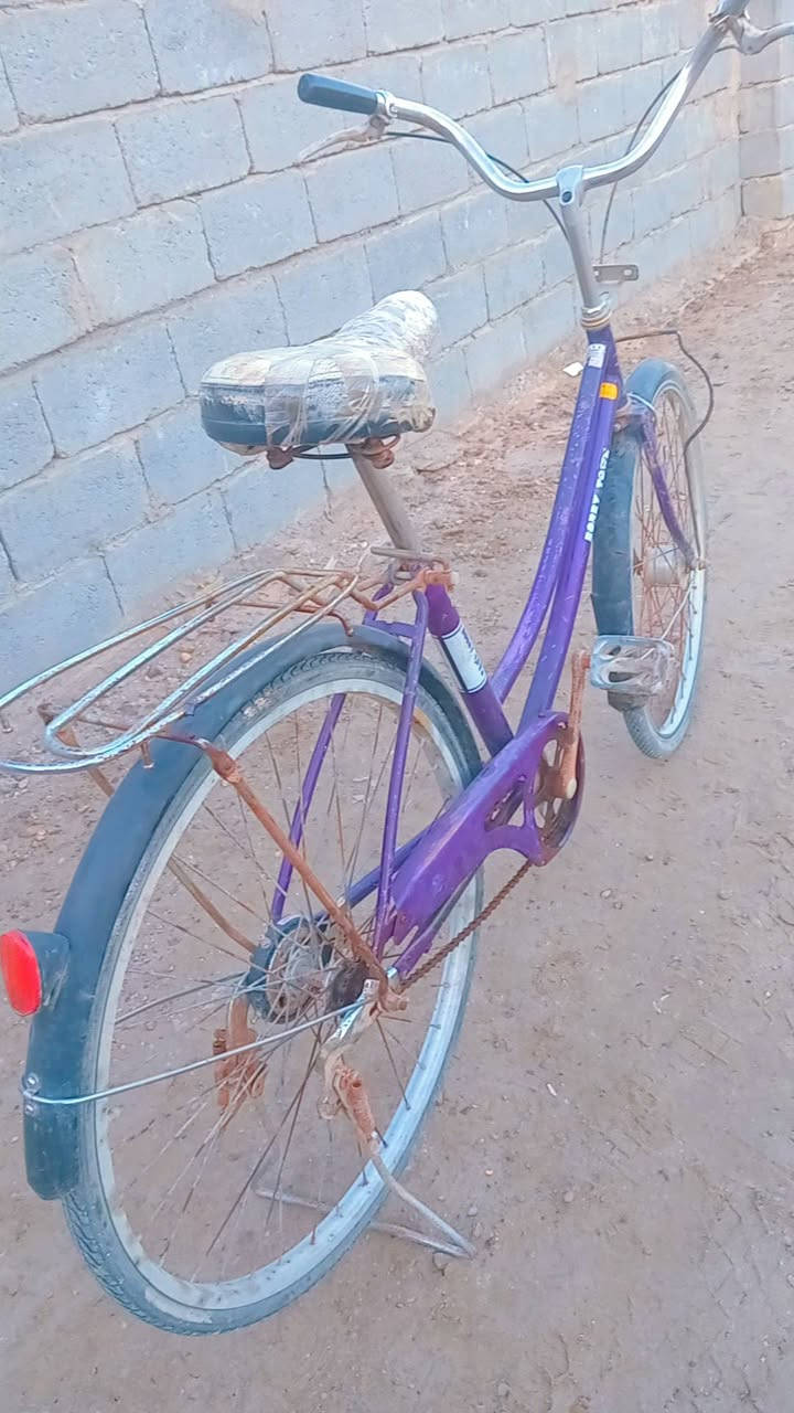 سلام عليكم
باسكل للبيع تايرات جدد ويل الخلفي هم جديد ويل كدام حساس(دينماا) دسگ وره جديد بريكات وره او كدام 
باسكل كامل السعر 45او بي مجال مكاني ناحيه كيلو18 
الرقم ***********
