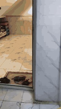 بيت للبيع الحميديه نزال 25/واجهيه 8/طابق ونص غرف نضام سويت اربع غرف بلبيت للاستفسار اتصل بالرقم ‏‪***********‬‏
