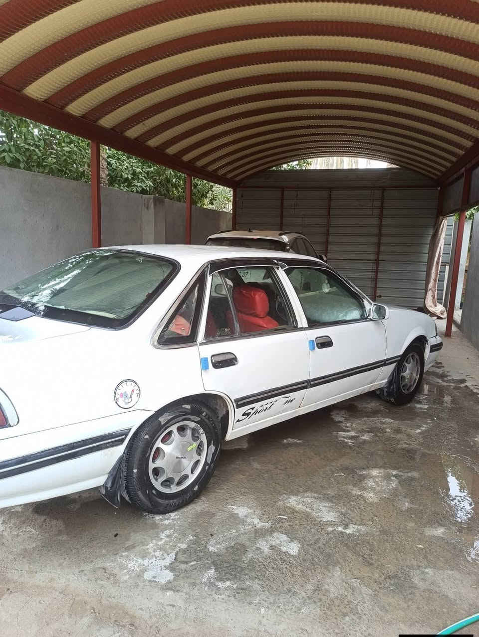 سلام عليكم
متاح سياره برنس دايو رقم بغداد سياره كامله من كلشي تخم تايرات امامي وخلفي صدر امامي  وخلفي جديد كير محرك مابي اي نقص جامات كله شغاله 
بيبان كله شغاله يريد تفاصيل بعد يجي خاص  وهذا رقمي
سعر40وبيه مجال
 ***********
***********
