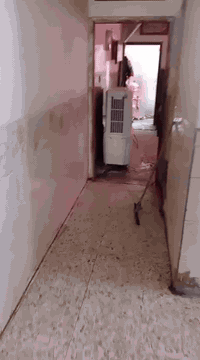 اكو بيت ايجار بكويريش بل  ٣٠٠٠بشارع الملعب طابق واحد بي غرفه مطبخ صاله ايجار  ٢٥٠تلفون  ***********
