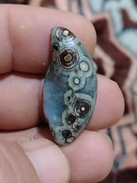 خامة داوودي • مصور