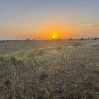 الرمادي اليرموك • ٦ دونم • طابو زراعي