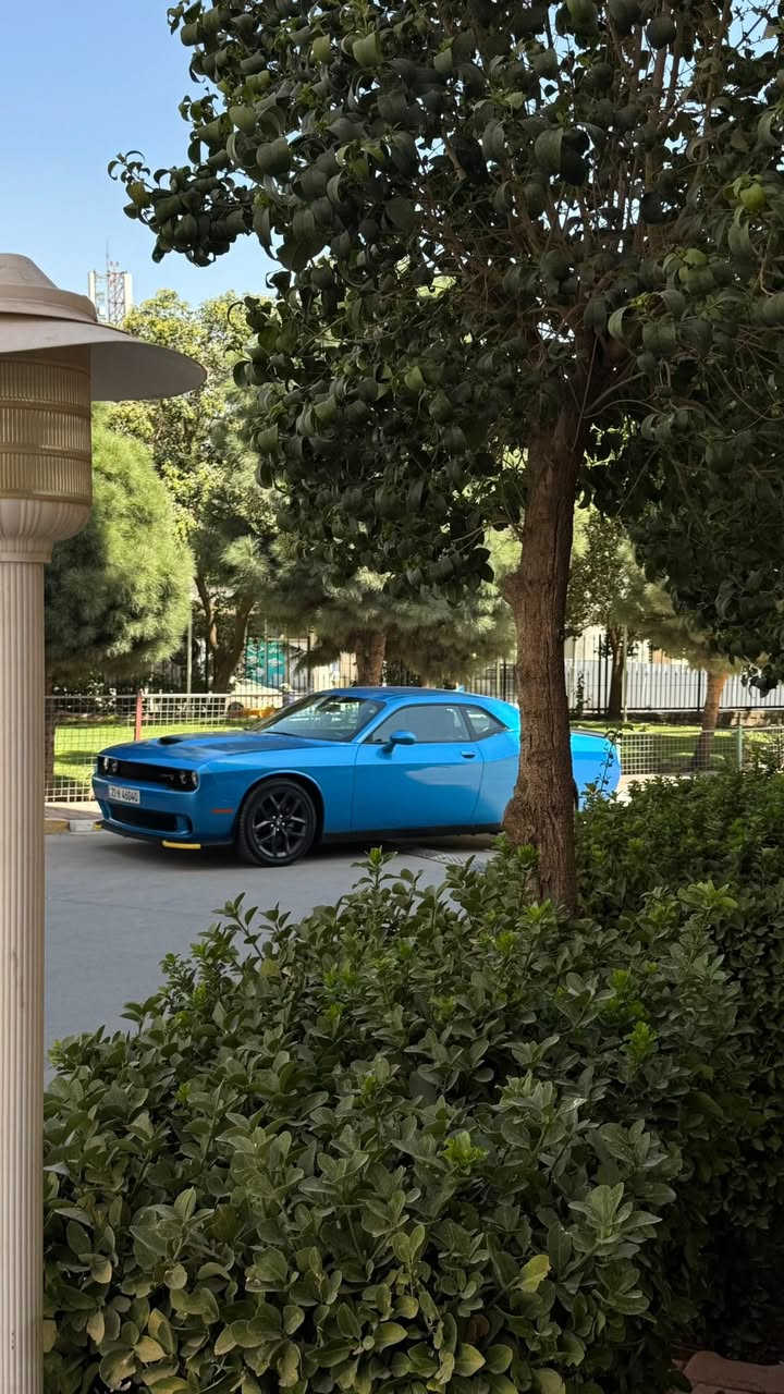 2023
Gt plus لون مميز 🩵
235$
ماشية ٢٠ الف 🔥
فول عدا الفتحة 

رادار امامي 
حساس خلفي 
رادارات جانبية 

سوبر تراك باك 🔥
شفتات ستيرن 

كشنات خزن ✅
كشنات تبريد ❄️
كشنات كنتارا 

سستم صوت الباين 🔊
شاشة كبيرة

رقمها سليمانيه  21-H46040🩵

السياره مشمت بانزين العادي بس محسن 🔥
دهن السيارة اخذة ب ٢٨ الف اللتر ✅
السياره كلش نظيفة ومداريها اني رقمتها كانت ماشية ٣ الف من اخذتها
الرادار الامامي مكسور من امريكا ومشديت واحد جديد 

ضررها جاملغ سكن وبداية البونيد والايرباك مطاك بدون شاصي ولا اي دواخل صور الحادث بالمنشور 
مكاني سليمانيه 
***********
