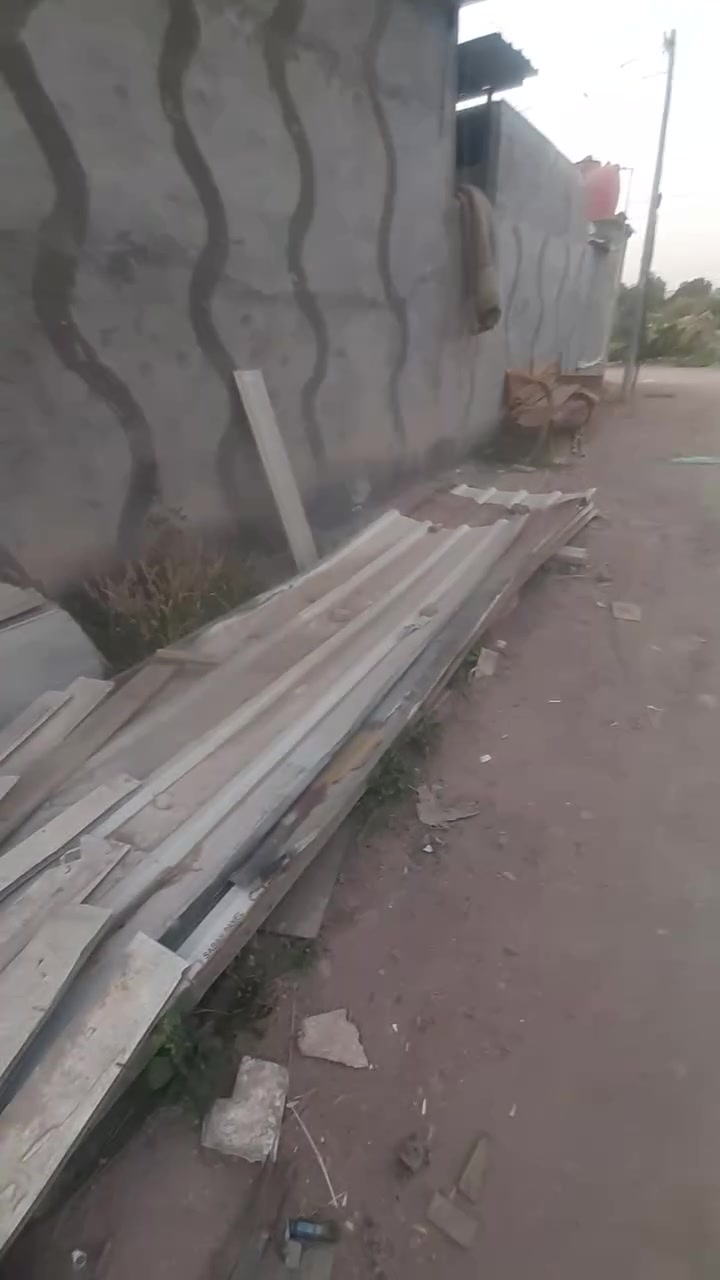 جنكو لبيع *********** ***********
