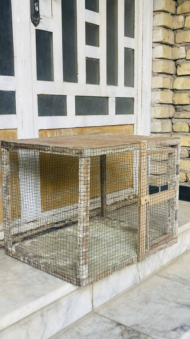 خانه نضيفه للبيع مكاني رفاعي الي يريده يراسلني


**إذا كنت صاحب هذا الإعلان وتريد حذفه لأي سبب، رجاءا أرسل رسالة إلى الدعم الفني**