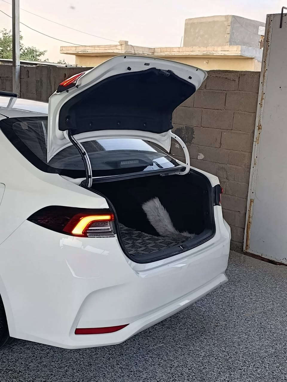 السلام عليكم كورله هايبرد مديل ٢٠٢٥ لسياره جديده بمعنه الكلمه اقصد السياره والمقترض والكفيل ثنينهم نفس البيت رقم بصره دولي السعر 140 وبيها مجال قليل 
***********
