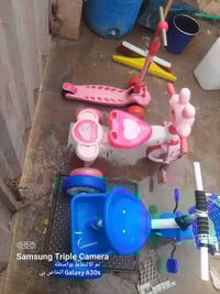 باسكلات • كفالة عامة • كوت واسط