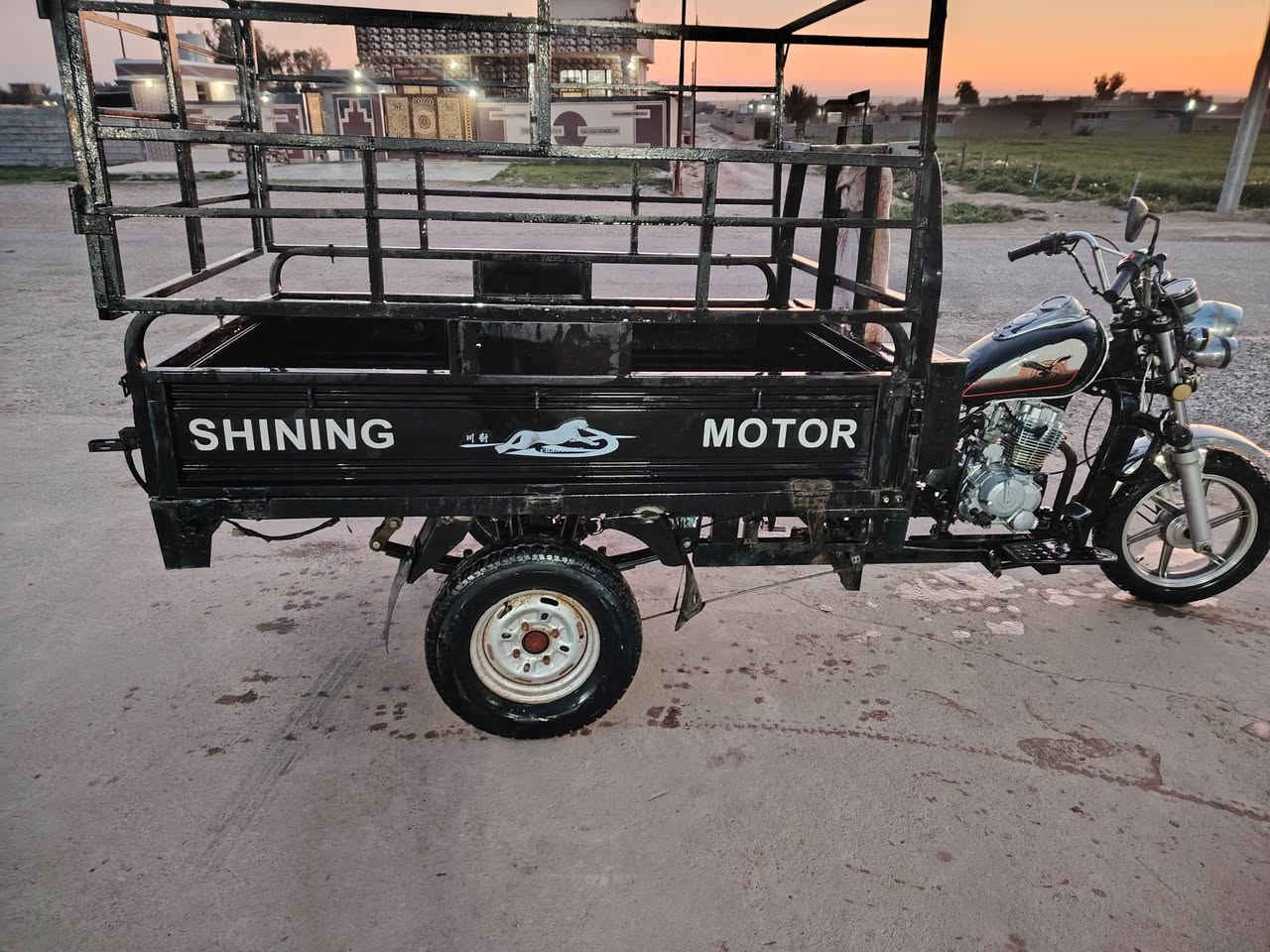 ستوته للبيع 
فحل عالي 
موديل 2019
اورق كامله 
ستوته نضيفه 
سعر مليون اوبيهاا مجال 
اتصال ***********
