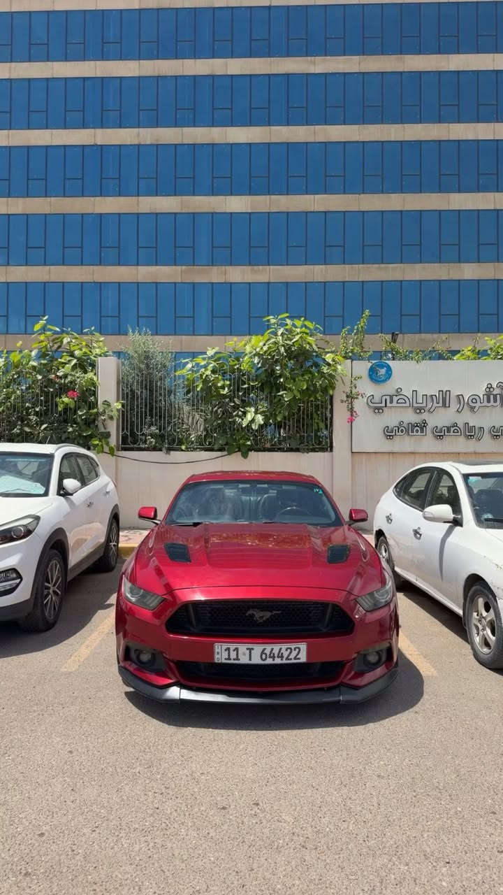 موستنك 5.0 - GT  بريميوم فول مواصفات  موديل 2015 

رقم شبه مميز 64422

حجم المحرك 5000  / V8
ممشى 75 ألف فقط كلين (حادث دعامية فقط) بدون ايرباك– بدون صبغ – بدون تبديل

ملاحظة بسيطة: بارد بالهلال مال جاملغ سونار بالمنشور 

سيارة جداً  نظيفة مكينة وكير واكسل كفاله على وضع الشركة 

فل مواصفات (Premium Full): 
تشغيل عن بعد 
– كشنات ميموري 
– إنارة ترحيب 
– رادار نقطة عمياء
_ دشبول  7 ألوان
 – شاشة SYNC كبيرة 
– دمام بالصندوك
_كشنات تبريد \ تدفئة
 – مودات قيادة \ ستيرن

الحالة: الصدر الأمامي والخلفي الأذاين مبدلات جدد تايرات جديدة اطلس من احمد ورمزي – السيارة ما محتاجة شي تجي وتشوفها

الإضافات \: دبات Borla أصلية قفايص X-pipe 3 إنج داون بايب برمجة وتفريغ

ويل Vossen HF-5 أصلي توسايز لويات Eibach

فجوج 6 بستم \ فلنجات كبار

Strut Bar GT

بوابات صوت (تفتح/تغلق)

الإكسسوارات:

لحية Cervini – دفيوزر Shelby

باك لايت سموك – إشارات LED لدات دعامية \ دفيوزر حلوك دبل – شفتات ستيرن

مكان السياره بغداد حي الجامعه 

***********

