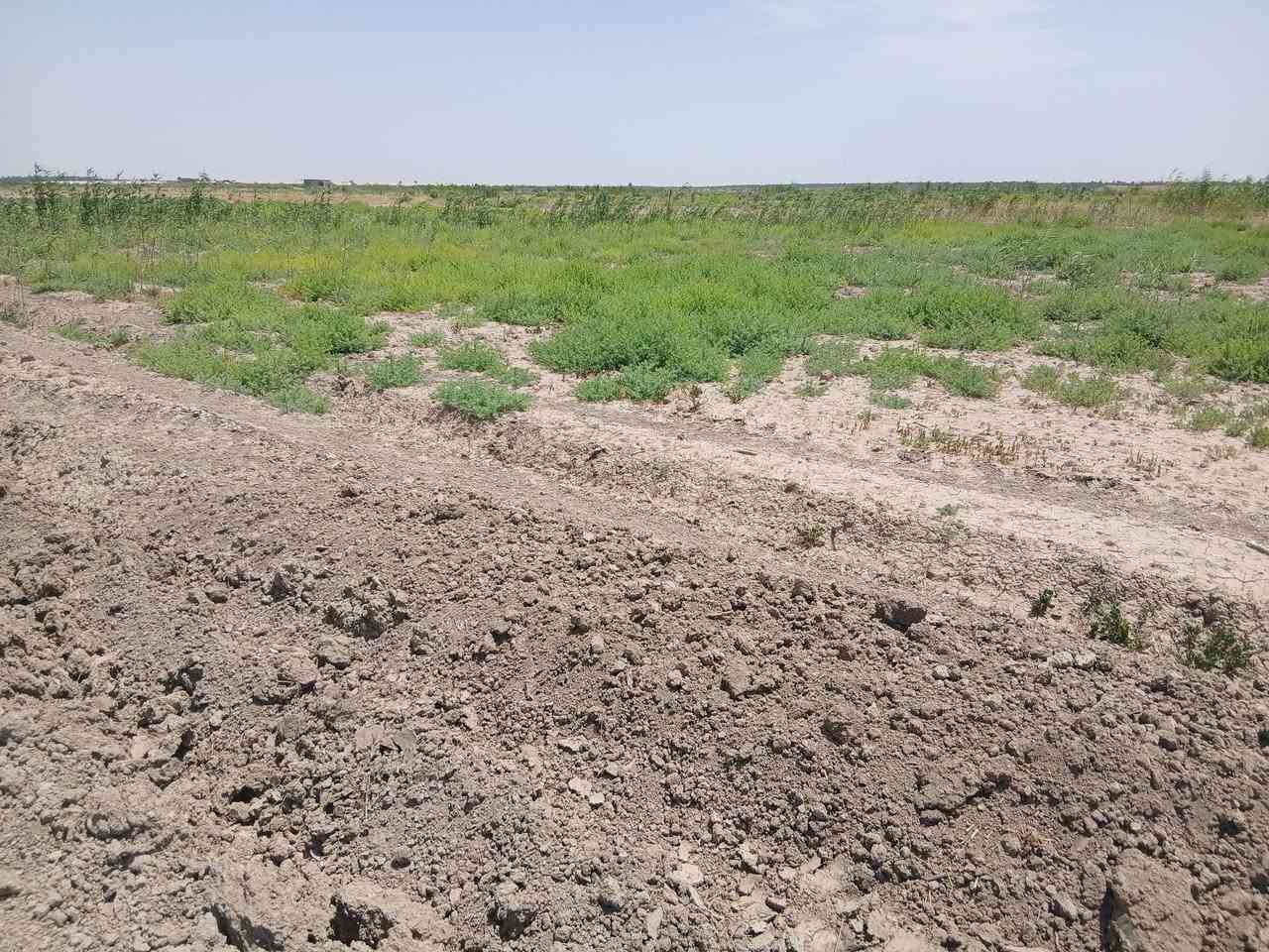 السلام عليكم ارض طابو سند 25 المساحه 10 دونم  سعر الدونم 12 مليون الصويره نهر ماء سقي مكان مرتب تحويل مباشر تصلح لا اي مشروع زراعيه تربه لارض جيده للستفسار التصال ***********

