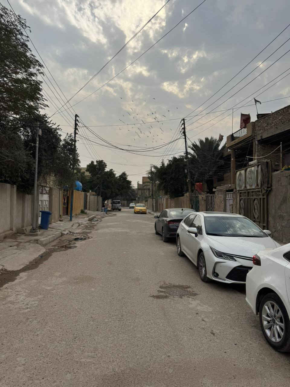 اسلام عليكم عندي بيت مساحه 160طابو صرف حي الرئاسه قرب سوك الرئاسه مقابيل المدارس 6غرف نوم ستقبال وصاله ومطبخ وصحيات للعلم المساحه الكليه 175 بسند 160 غي متوفر على خاص اتصال على *********** سعر185مليون
