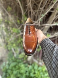 اكسفورد قياس 42 07721829200