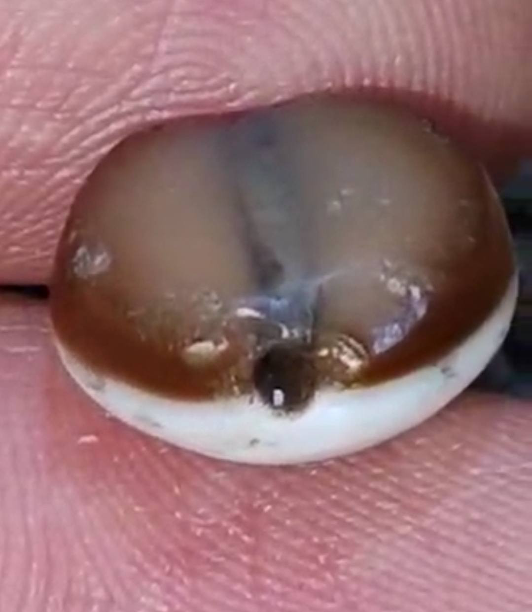 جزعه يمانيه اصيله 
تواصل على الرقم 
***********
