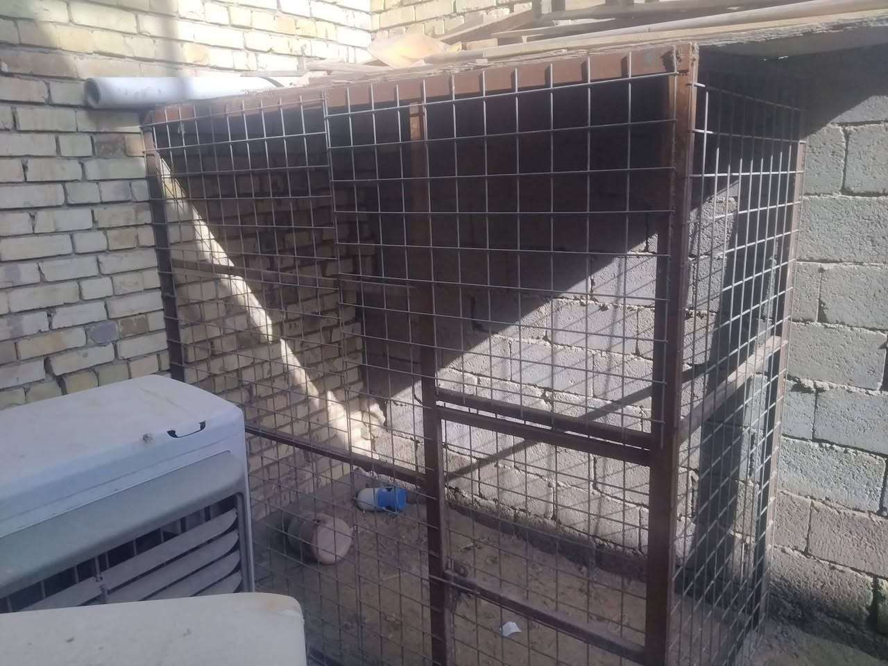 قفص حديده كله ثقيل جدا
البيارسي الاصلي والثقيل ارتفاع مترين والعرض مترين النزال متر  القفص مثل ماتشوف واجهيه وكوسر  ب٨٠ قفل صايره عليه فوك ١٨٠ بس اني ماحتاجها بعد *********** هذه رقمي
