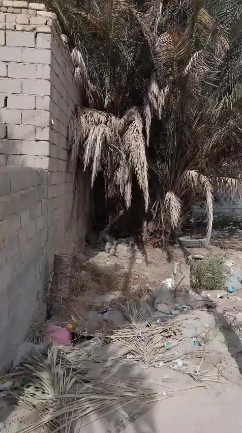 الارض الاستثمار شارع المسبح المساحة 150متر الرقم ***********
