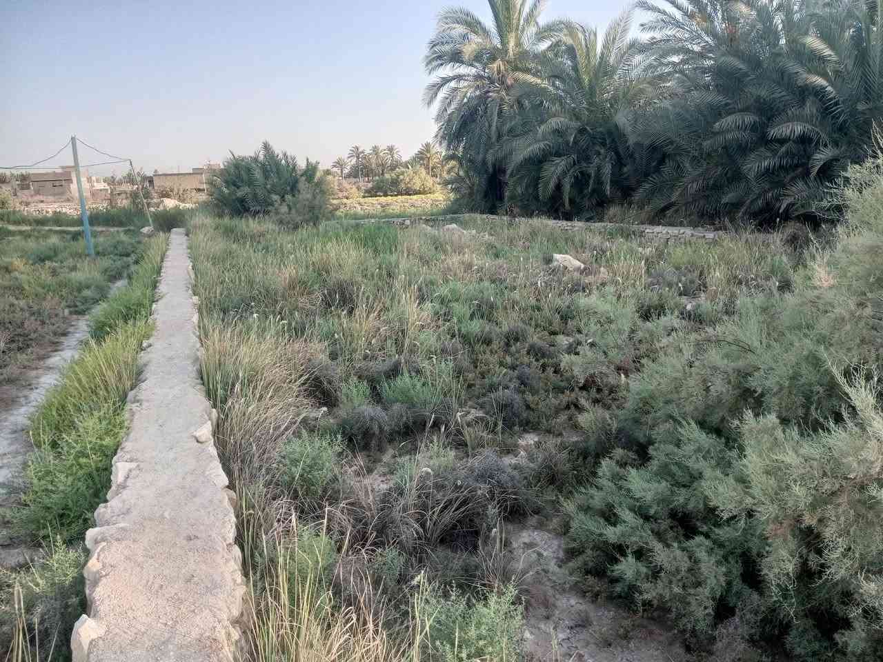 قطعه خلف المنتزه حي لمهندسين 360 متر طابو سند 25 زراعي مقابيل مجمع الرميثه  سعر 13
‏‪***********‬‏
