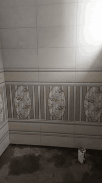 السلام عليكم خلفه سيراميك وارضيات برشط تسلم مهندس مكاني بغداد  *********** حالين متفرغ
