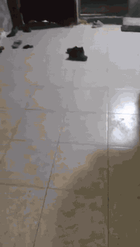 بيت للبيع مساحه 100 متر غرفه خمسه في اربعه صاله ستقبا مساحه الحوش كبيره شارع ابو احمد سبع قصور بالاخير بالاخير قرب مولد ابو كرار الفريجي سعر 25 رقم 
 الهاتف***********
