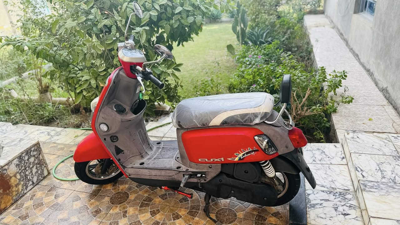 للبيع 
***********
مكاني بابل / الهاشمية
الاستفسار اكثر خاص
