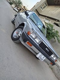 كرونه • ١٩٨١ • مشروع وطني