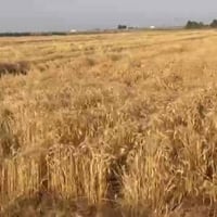 ٢٠ دونم • طابو سند • نهر سقي خاص