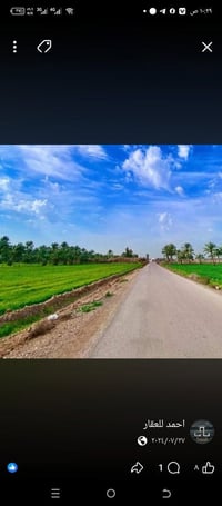 دونم للبيع 5دونم طابو ملك صرف ابو غريب حي الرساله سند مستقل سعر الدونم...