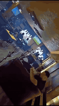 حبايب كلبي كوفي لبيع كلش حلوو وقوي كادر بي زين وشغل فول كوفي لبيع سعر ثلاثه شداد حبايب كلبي واي احد اريد يتوصل هذا رقم ابوكوفي اني مجرد بس نشر ماشي عيوني***********
