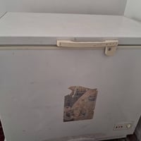 مجمدة • فول تجميد