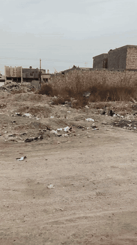 سبع البور الضباط • ١٥٠م • شارع ٦٠