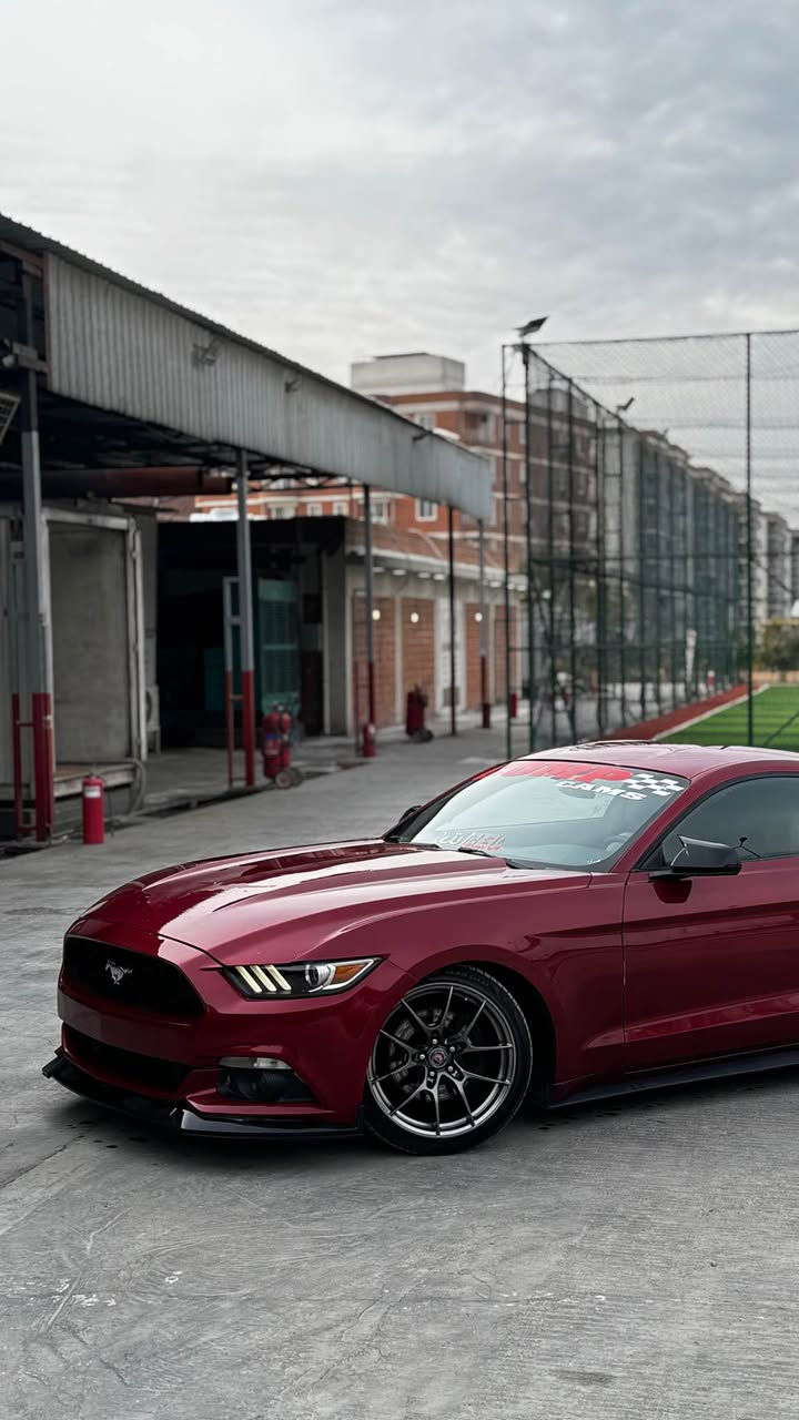 السلام عليكم موستنك 2017 v6 كير اوتو رقم اربيل مصبوغه احزام بچم كبس السياره كامله مكمله مكينه كير صدر امامي وخلفي كله جديد شرط الفحص داخل جديد السياره بدون نقص ويل 19 اصلي تبريد تدفئه جاهزه للاخير السعر 128 مكاني الغزاليه *********** بغداد, العراق
