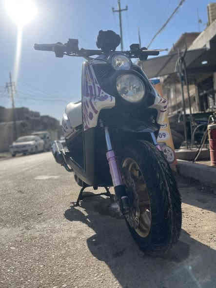 سلام عليكم سكنس جبلي بيع او مراوس اب عدلة ناشفة مكاني بغداد رقم ***********
