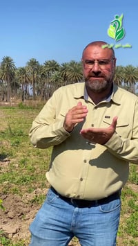 شوكت ننطي اسمدة  عادة بعد ٢١/٣ تبدأ عملية اضافة الاسمدة الكيميائية لأش...