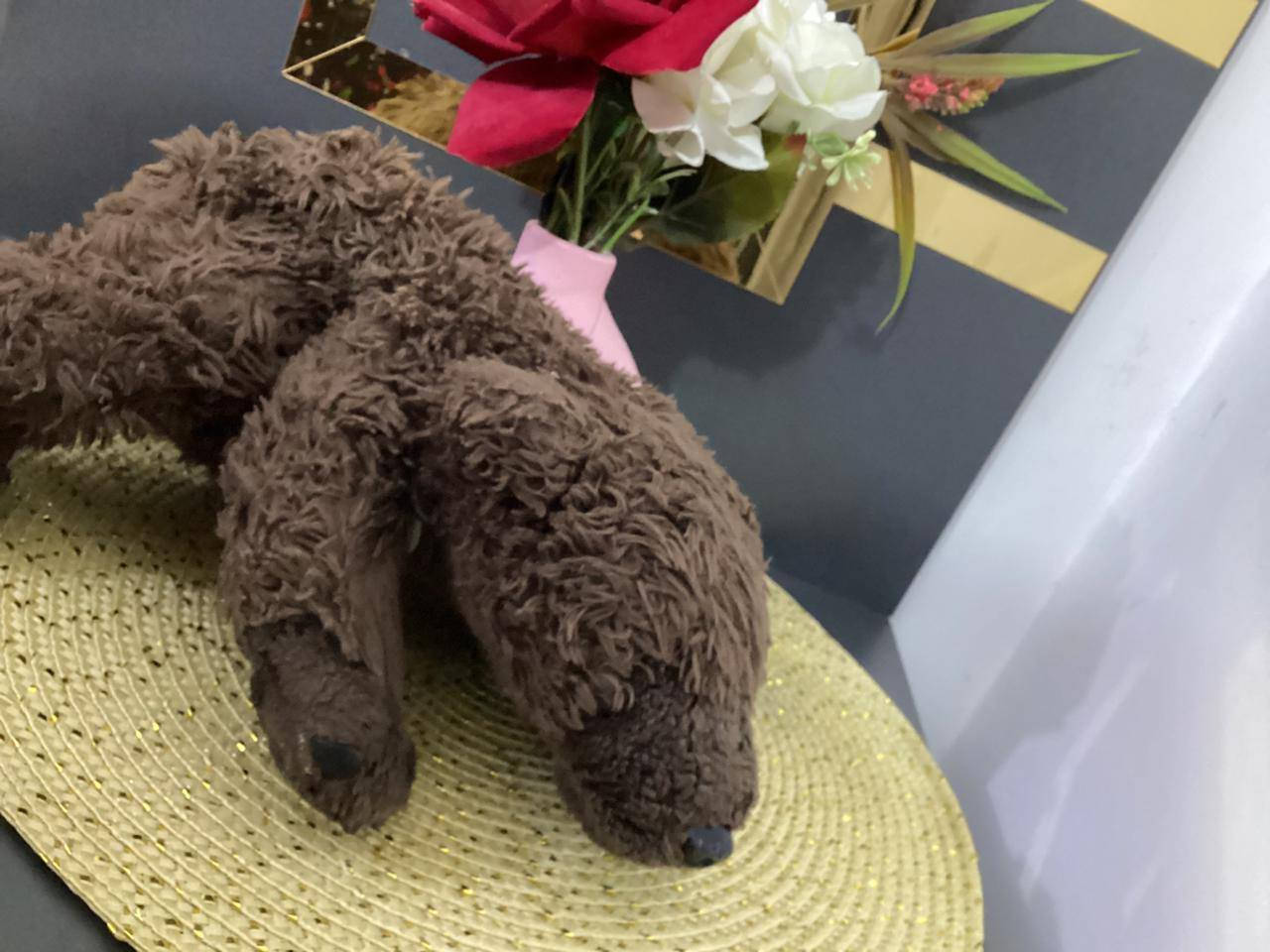 عنددي شليف العاب سوفت قطني حجم وسط والكبير شللليف يتكووون  من ١٠٠ قطعه  يفيد. اصحاب مشاريع وعندي توصيل ايضا بسعر جدا مناسب  وعندي. بيع قطع ايضا ونضافه درجه. اول ويشهد. الله على. كلامي نضافه وجمال قطع. جنننن  جنت ابيع بيهن وخير من الله من داخل بيت بس حاليا دابيت شليف ب اكمله لن. حتاجيت فلوس  عمليه ابني ف دابيعه شليف كامل   وعندي توصيل ايضا او تحبون شوفونه. ب نفسكم


**إذا كنت صاحب هذا الإعلان وتريد حذفه لأي سبب، رجاءا أرسل رسالة إلى الدعم الفني**