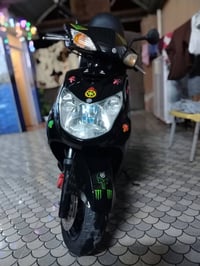 سكنس فحل نوزل سكليترخطين ستان حساس اوراق كامله وحته مكمركه تاخذها ترقم...