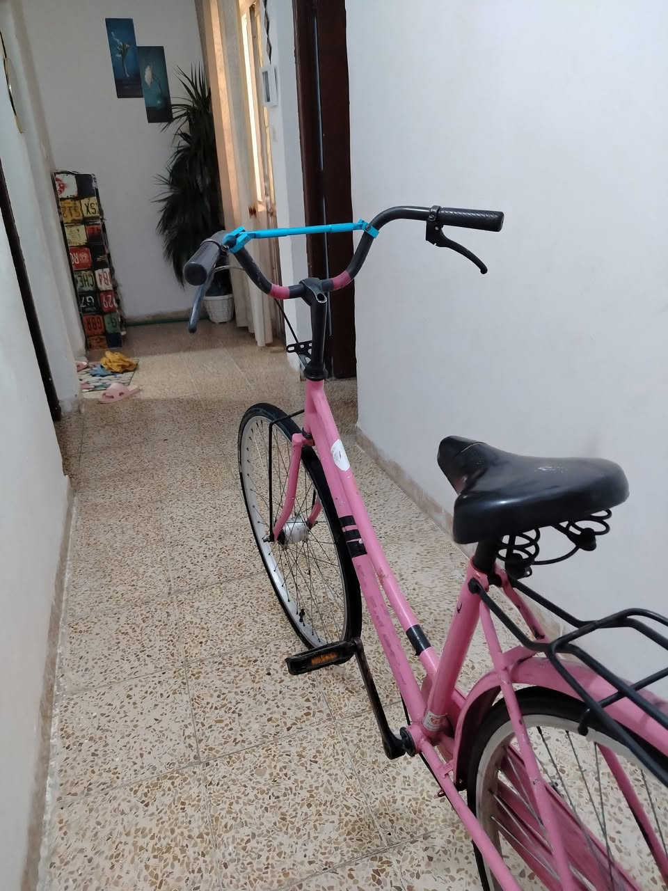 السلام عليكم باسكل بناتي نضيف للبيع السعر 90وبي مجال


**إذا كنت صاحب هذا الإعلان وتريد حذفه لأي سبب، رجاءا أرسل رسالة إلى الدعم الفني**