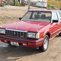 كراون • ١٩٨٤ • مكفول