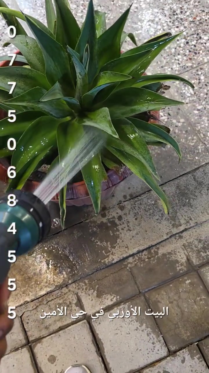 العنوان/ بغداد حي الأمين شارع نواب الضباط قرب جامع الاسراء والمعراج مقابل مطعم ماك جكن 
للحجز/ مراسلة الصفحة او الواتساب ***********
