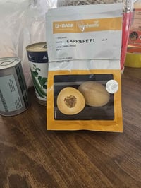 بذور بطيخ • هجين كارير • مقاومة الامراض