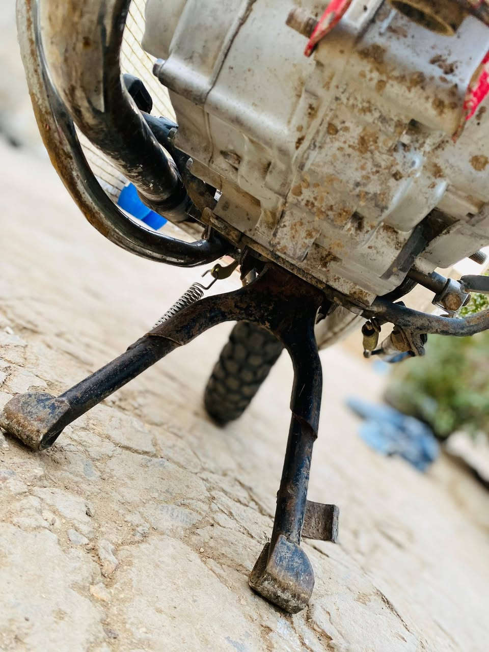 ***********،للبيع او
مراوس 450وبيهه مجال كلك
