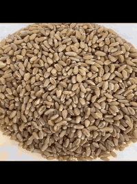 السلام عليكم 
ســلام علــــيكم 

حنطة البه بنت المغلف درجة أولى شرط

الكمية 5 طن

العنوان كركوك - طريق ليلان

***********
