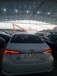 كورلا هايبرد • ٢٠٢٤ • كربلاء