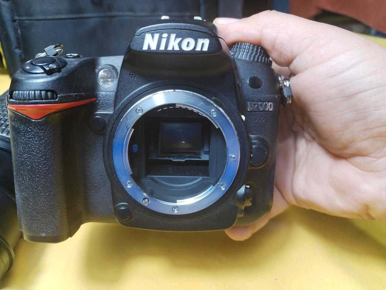 ✅ بسم الله الرحمن الرحيم 🇮🇶
✅ اللهم صل على محمد وآل محمد 📸🇮🇶
✅ السلام عليكم 📸 🇮🇶
✅ شباب كامره نيكون 📸 🇮🇶
✅7000D📸
✅ ملحقات الكامره 📸🇮🇶
✅عدسه 18.140 📷🇮🇶
✅ شاحنه الاصليه 📸 🇮🇶
✅ بطاريه الاصليه 📸 🇮🇶
✅ حزام كتف 📸 🇮🇶
✅ جنطه 📷🇮🇶
✅ استفسار اكثر تفضلوخاص
✅اواتصل *********** 
✅ انستا a_4.ee 📸 🇮🇶
